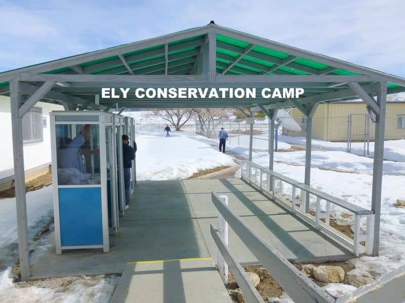 Ely Conservation Camp - ECC
